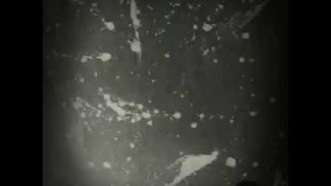 Infernal Lust - Burn The Bodies