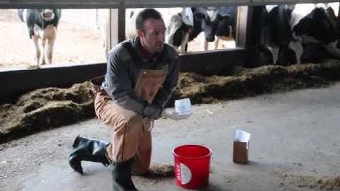 How to Collect a Manure Sample for TMR D