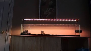 Arduino Aquarium Light Controller Sunrise