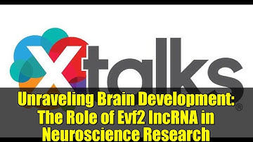 Unraveling Brain Development: The Role of Evf2 lncRNA in Neuroscience Research
