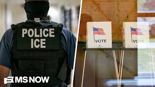 Americans shouldn’t stand for ‘lawless’ actions of ICE: Minnesota Lt. Gov.