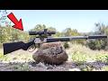 Top 5 Hunting Rifles Under $800 That Will Last a Lifetime and Stay Accurate
