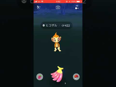 ムロパナコ似のヒコザルにバナナを与える動画[ポケモンGO]