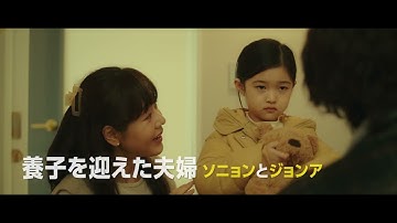 表情豊かなキュートな犬たちに注目！『DOG DAYS 君といつまでも』本予告