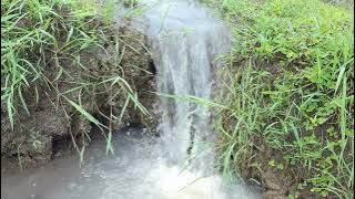Suara Air Sungai Mengalir Di Sawah - Relaksasi Tanpa Musik