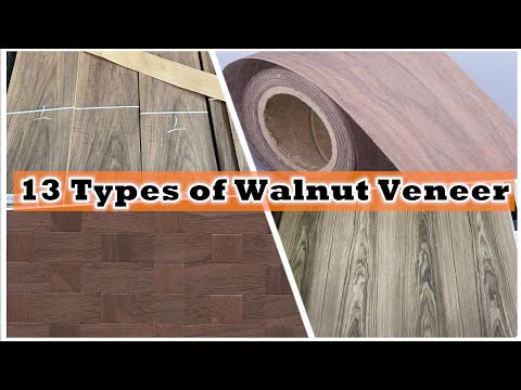 Video: American walnut veneer: ntxoov ntxoo yam ntxwv