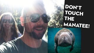 (EP34) Meeting the Manatees at Blue Spring State Park, FL