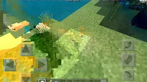 Top 5 những thứ bạn cần biết về con chó trong minecraft