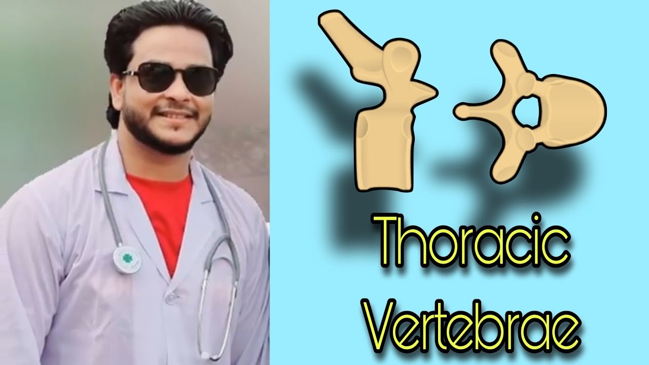 Typical vertebra bangla demo | MBBS 1st year | Dr. Fahad | DMC