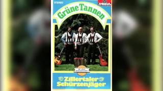Video thumbnail of "Zillertaler Schürzenjäger - Der Jagertoni"