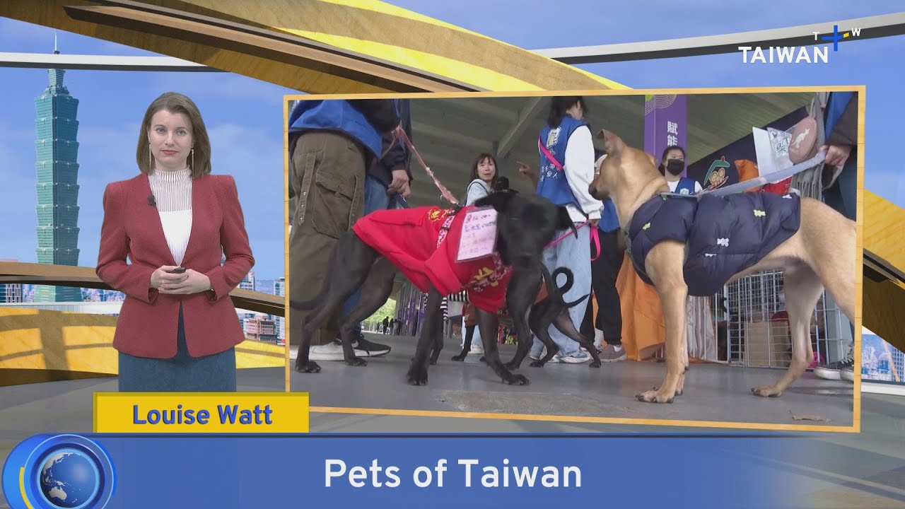 Pets of Taiwan, Here's What Happened Sunday, February 4, 2024