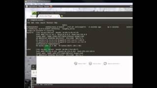 Celebrity HP VAN SDN DevOps platform in 15 minutes Net Worth