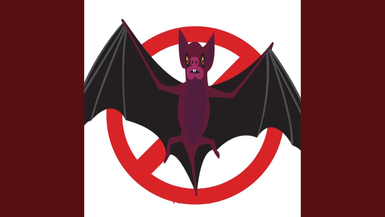 コウモリよけの音 - YouTube