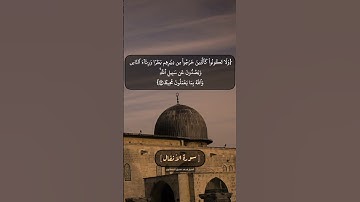 سورة الأنفال الآية ٤٥ الى ٤٧ بصوت الشيخ محمد صديق المنشاوي