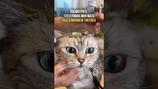 🛒Арт: #WW757498 (копируй и вставляй на WB)#insightofthecreator #товарыдляживотных #россия #cats