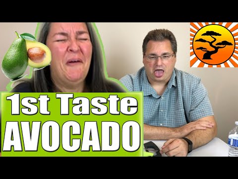 Video: What Does An Avocado Taste Like?