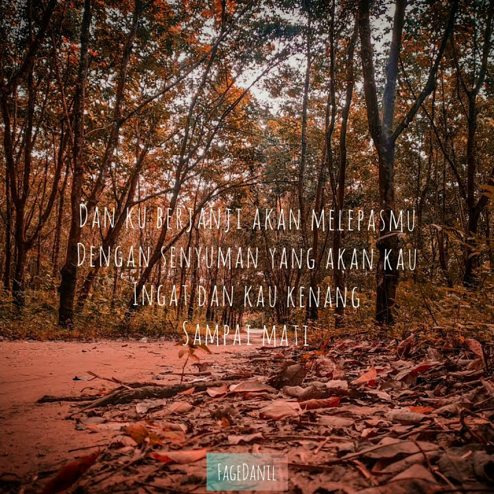 SNAP WA 30 DETIK | PERGI HILANG DAN LUPAKAN - REMEMBER OF TODAY | SNAP GALAU