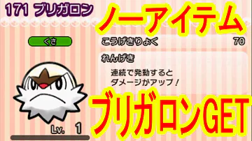ブリガロン