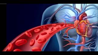 Vascularsurgery (surgical notes for GP)