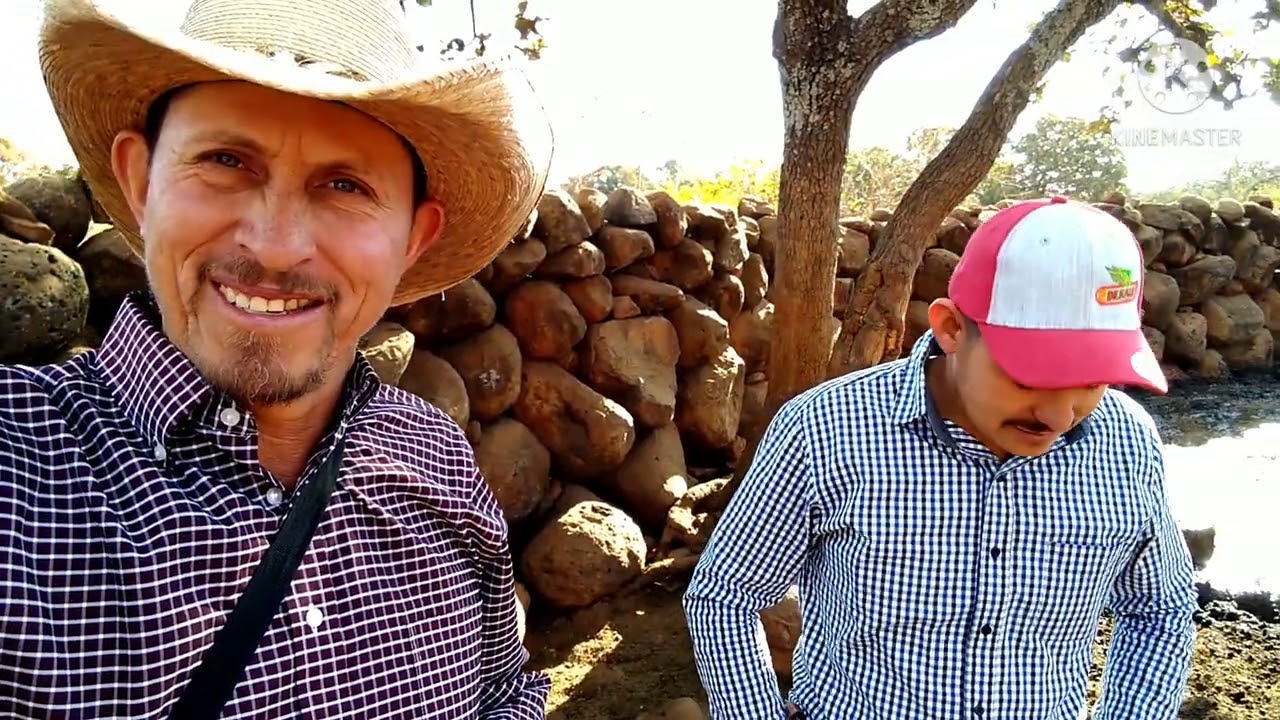 COMPRANDO  becerrada por kilos