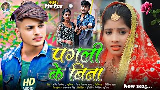 #पगली के बिना#Jakhmi jukebox Gazal geet Dard bhara#Prince Priya ka#bewafai#non stop 2025 ka Maithili