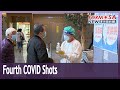 Fourth doses of COVID vaccines roll out for high-risk groups