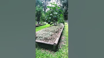 Sheet Composting #shorts