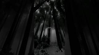 Tu Jaane Na Slowedreverb Atif Aslam Aesthetic Status Whatsapp Status