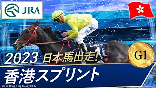 2023年 香港スプリント（G1） | ラッキースワイネス | JRA公式