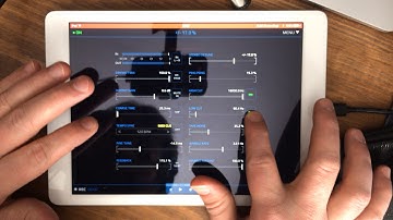 TheAudioDabbler - DabbleLab Feedback Delay Looping AUM iM1 AUFX Space Dub