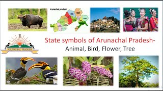 Uttar Pradesh State Symbols ||Uttar Pradesh State Symbols : Animal, Bird,  Tree and flower - YouTube