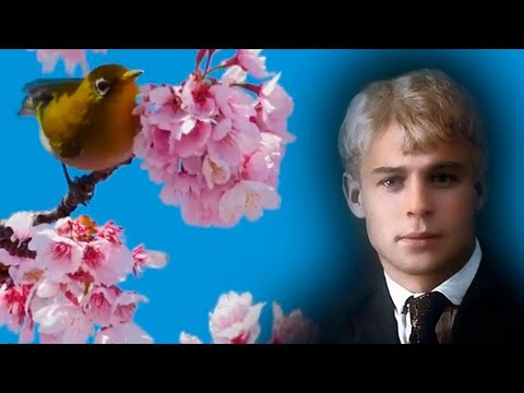 Стихи. Есенин. Выткался на озере алый свет зари ✨