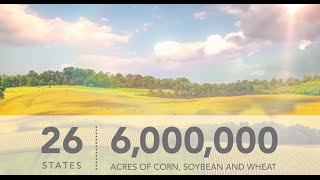 Full The Only Way to Discover Your Yield and Profit Potential News