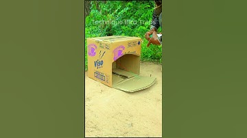 New Method Unique Quail Trap #shorts