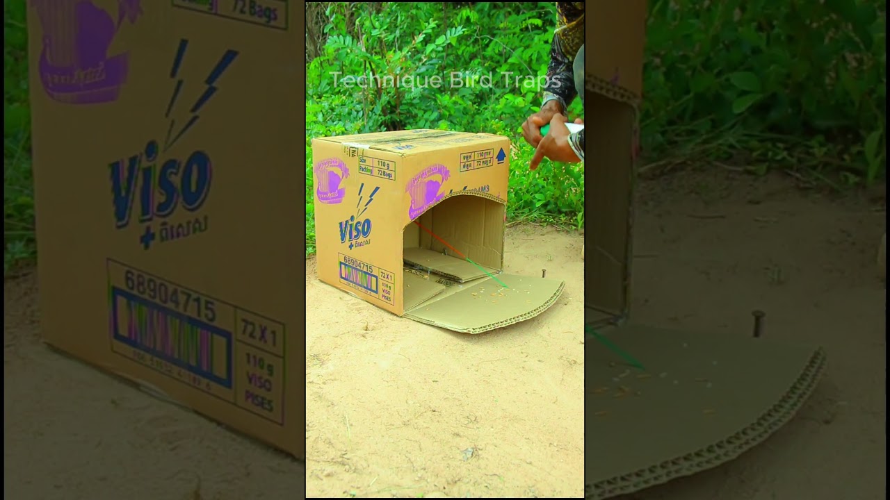 New Method Unique Quail Trap 