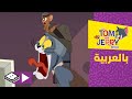 توم وجيري نداء الأوز بوميرانغ