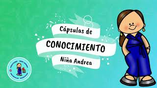 Sistemas reproductores femenino y masculino 4° Sistemas reproductores femenino y masculino 4°