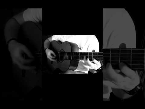 Amr Diab Agheeb Guitar Solo عمرو دياب أغيب Amrdiab Guitarsolo Guitar