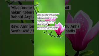 Zerreler Adedince Günahında Olsa Affedilir