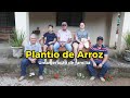 Plantio de Arroz - Uma geração de família no Vale do Paraíba