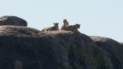 Tanzania Camping Safari 2014
