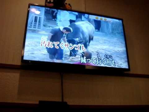 ＢＥＧＩＮ　島人ぬ宝（カラオケ）歌ってみた