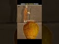 GEORGIA WINE MAKING PROCESS #shorts