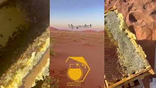 عسل زهرة الربع الخالي (العسل الأبيض) Empty Quarter desert flower honey (white honey)