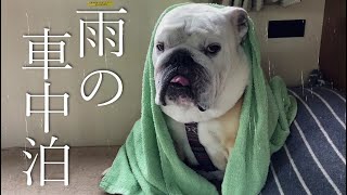 【北海道雨続きの車中泊】ずぶ濡れで悲壮感漂う愛犬に美味しいものを食べてもらって励ます回