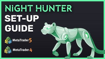 Night Hunter Pro MQL Expert Advisor Set-Up Guide: How To Install & Configure - Valeriia Mishchenko