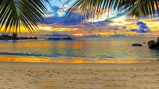 Ocean Waves & Peaceful Music | Shoreline Echoes Ambient