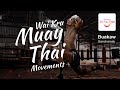 Wai Kru Muay Thai movements