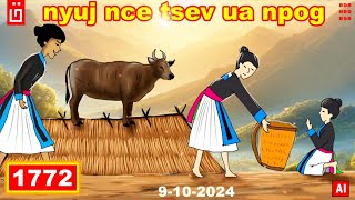dab hais hmoob - 1772 - 9/10/2024 nyuj nce tsev ua npog, ลางร้ายวัวขึ้นบ้าน, Bad omen of cow.