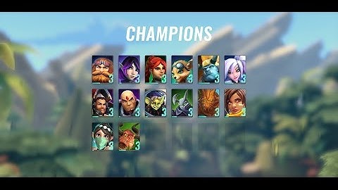 Introduction to basic Paladins